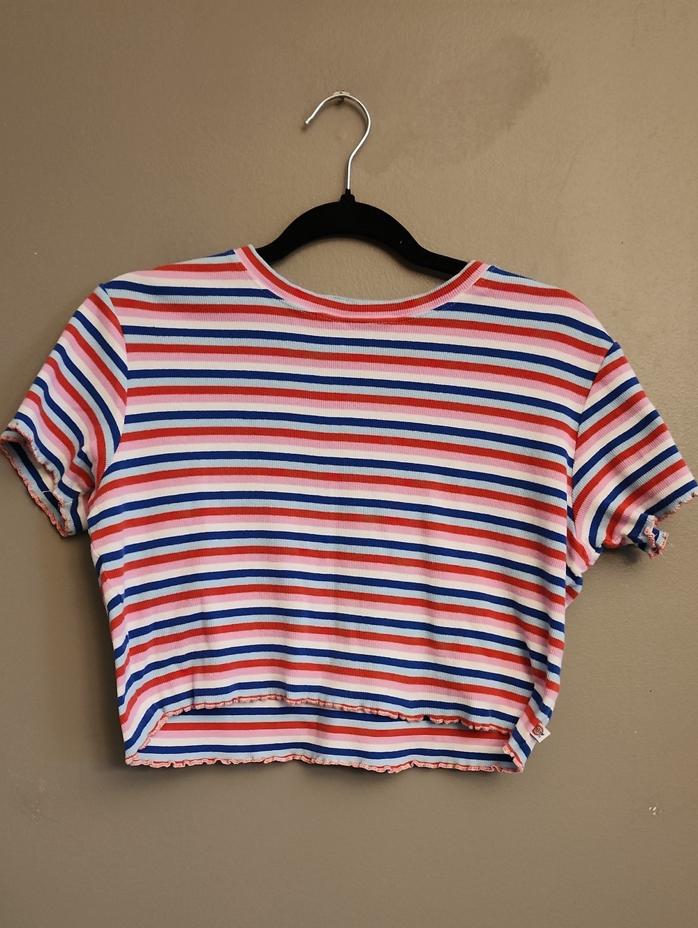 Dickies Striped Crop Top in Blue, Red & Pink